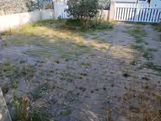 Cour pavée envahie d’herbes et de mousse entre les pavés
