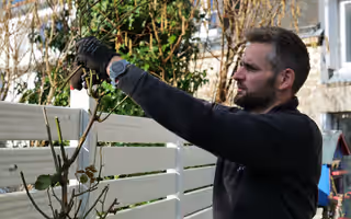 Gurvann Saintot, gants aux mains, taille un arbuste le long d’une clôture blanche